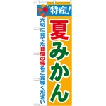 のぼり旗 特産!夏みかん (21479)