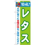 のぼり旗 特産!レタス (21493)