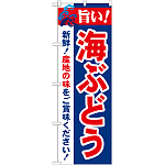 のぼり旗 旨い!海ぶどう (21664)