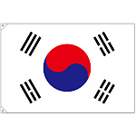販促用国旗 韓国 サイズ:大 (23693)