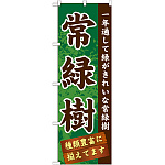 のぼり旗 表示:常緑樹 (GNB-1074)