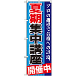 のぼり旗 夏期集中講座 開催中 (GNB-1593)