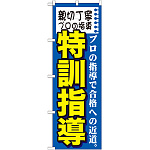 のぼり旗 特訓指導 (GNB-1594)
