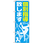 のぼり旗 個別指導致します (GNB-2117)