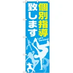のぼり旗 個別指導致します (GNB-2117)