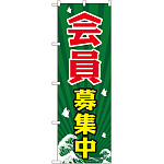 のぼり旗 会員募集中 (GNB-2205)