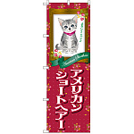 のぼり旗 アメリカンショートヘアー (GNB-2418)