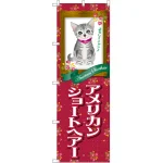 のぼり旗 アメリカンショートヘアー (GNB-2418)