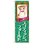 のぼり旗 スコティッシュフォールド (GNB-2444)