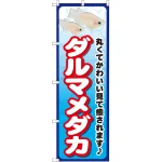 のぼり旗 ダルマメダカ (GNB-2449)