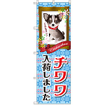 のぼり旗 チワワ入荷しました (GNB-2450)