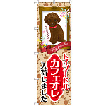 のぼり旗 トイプードル カフェオレ 入荷 (GNB-2456)