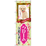 のぼり旗 トイプードル クリーム 入荷 (GNB-2457)