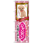 のぼり旗 トイプードル シャンパン 入荷 (GNB-2458)