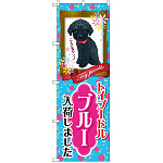 のぼり旗 トイプードル ブルー 入荷 (GNB-2463)
