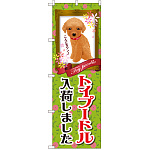 のぼり旗 トイプードル入荷 (GNB-2467)
