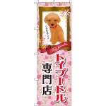のぼり旗 トイプードル専門店 (GNB-2468)