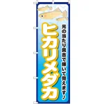 のぼり旗 ヒカリメダカ (GNB-2475)