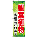 のぼり旗 観葉植物各種ございます (GNB-2531)