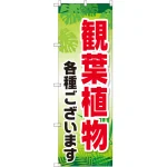 のぼり旗 観葉植物各種ございます (GNB-2531)
