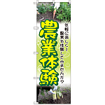 のぼり旗 農業体験 (GNB-2533)