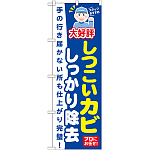 のぼり旗 しつこいカビ しっかり除去 (GNB-497)