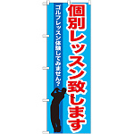 のぼり旗 個別レッスン致します (GNB-542)