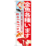 のぼり旗 金魚各種います (GNB-581)