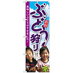 のぼり旗 ぶどう狩り 子供写真 (SNB-2202)