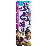 のぼり旗 ぶどう狩り 子供写真 (SNB-2202)