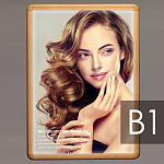 ※写真はB2パネルにセットした例です。