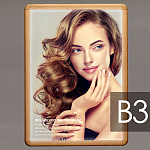 ※写真はB2パネルにセットした例です。