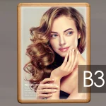 ※写真はB2パネルにセットした例です。