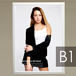 ※写真はB2パネルにセットした例です。