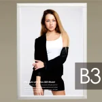 ※写真はB2パネルにセットした例です。