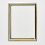 デッサン額 HVM (受注生産品) B1 ゴールド (HVM(B1)(Go))