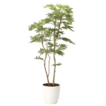 光触媒 人工観葉植物 造花 ねむの木(ポリ製)