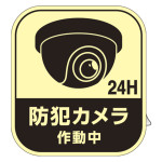 蓄光防犯ステッカー 防犯カメラ作動中 SCL-001 (69501)