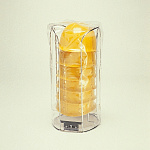 ヘルスタンド (241020)