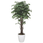 光触媒 人工観葉植物 造花 ベンジャミンリアナ 1.8 (高さ180cm) (152H620)