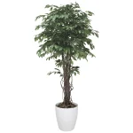 光触媒 人工観葉植物 造花 ベンジャミンリアナ 1.8 (高さ180cm) (152H620)
