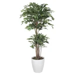 光触媒 人工観葉植物 造花 トロピカルベンジャミン 1.8 (高さ180cm) (162R620)