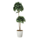 光触媒 人工観葉植物 造花 ベンジャミンダブル 1.6 (高さ160cm) (168R300)
