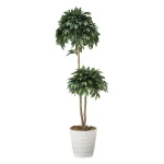 光触媒 人工観葉植物 造花 ベンジャミンダブル 1.6 (高さ160cm) (168R300)