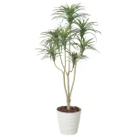 光触媒 人工観葉植物 造花 ユッカ 1.6 (高さ160cm) (173A250)