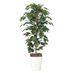 光触媒 人工観葉植物 造花 フィカスベンジャミン 1.2 (高さ120cm) (189K180)
