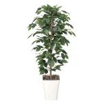 光触媒 人工観葉植物 造花 フィカスベンジャミン 1.2 (高さ120cm) (189K180)