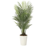 光触媒 人工観葉植物 造花 アレカパ-ム1.7(ポリ製) (高さ170cm) (2006P500)