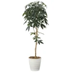 光触媒 人工観葉植物 造花 デザインパキラ1.6 (高さ160cm) (2008P270)