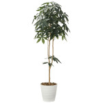 光触媒 人工観葉植物 造花 デザインパキラ1.8 (高さ180cm) (2009P310)